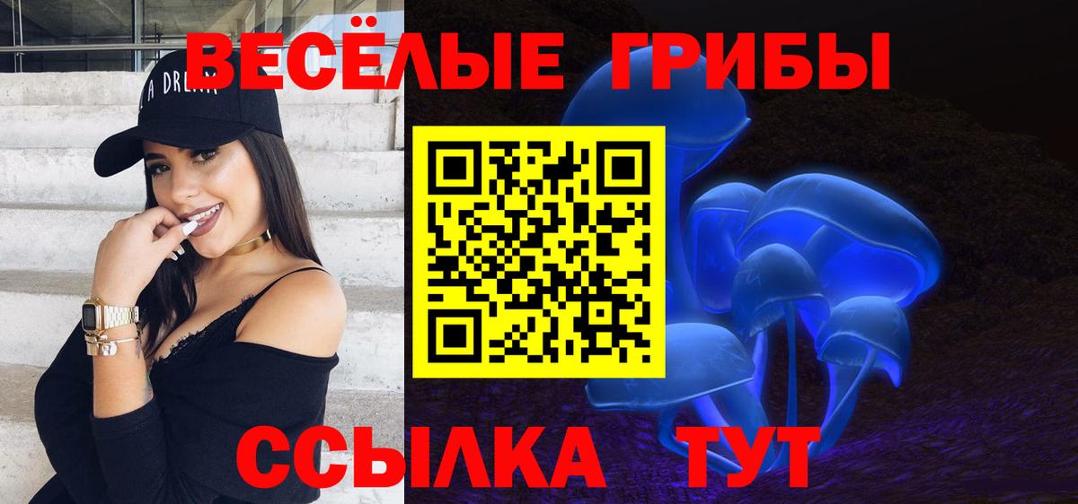 Псилоцибиновые грибы GOLDEN TEACHER Орехово-Зуево
